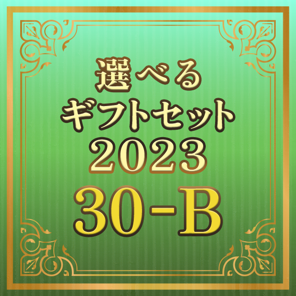選べるギフトセット2023 30-B