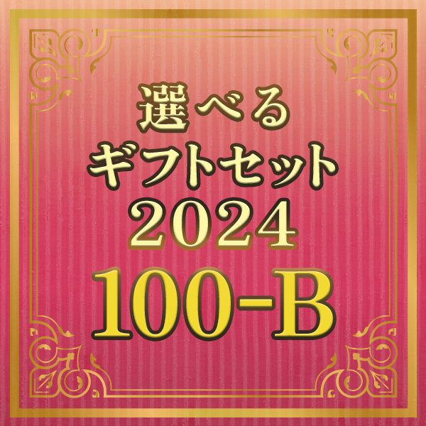 選べるギフトセット2024 100-B
