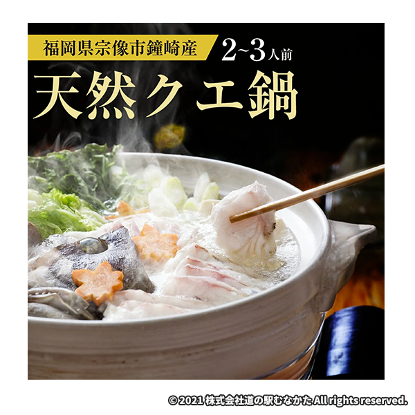福岡県宗像市鐘崎産 天然クエ鍋セット 2～3人前