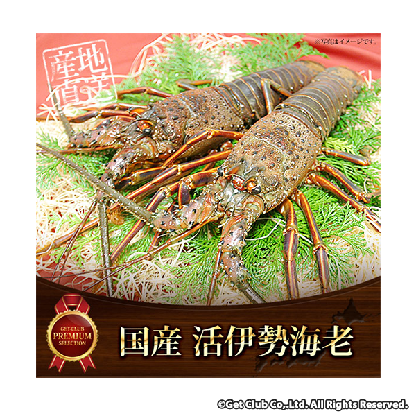 お取り寄せグルメ チケット 活伊勢海老