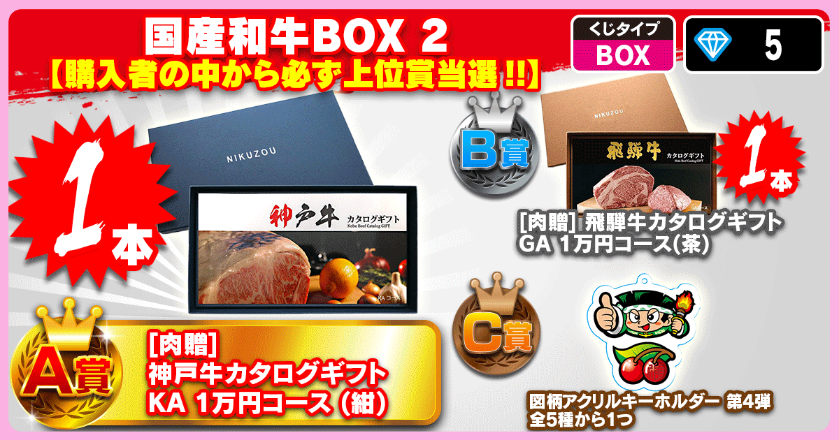 国産和牛BOX 2