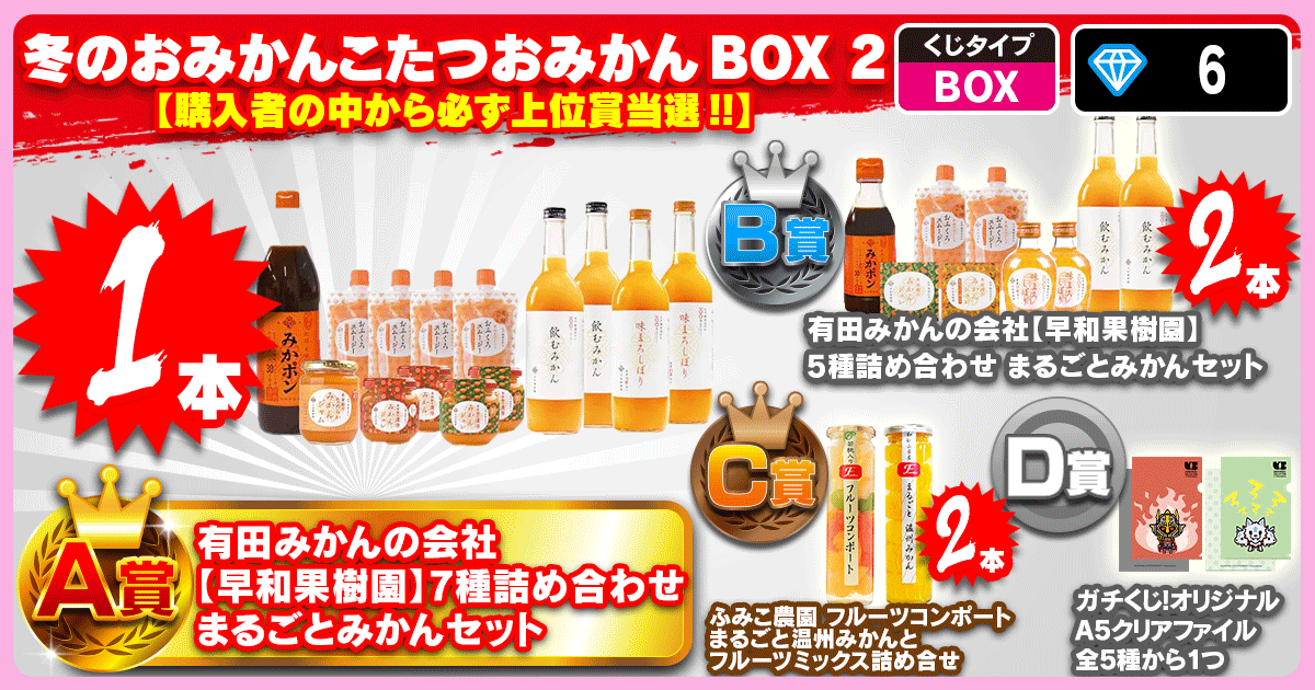 冬のおみかんこたつおみかん BOX 2