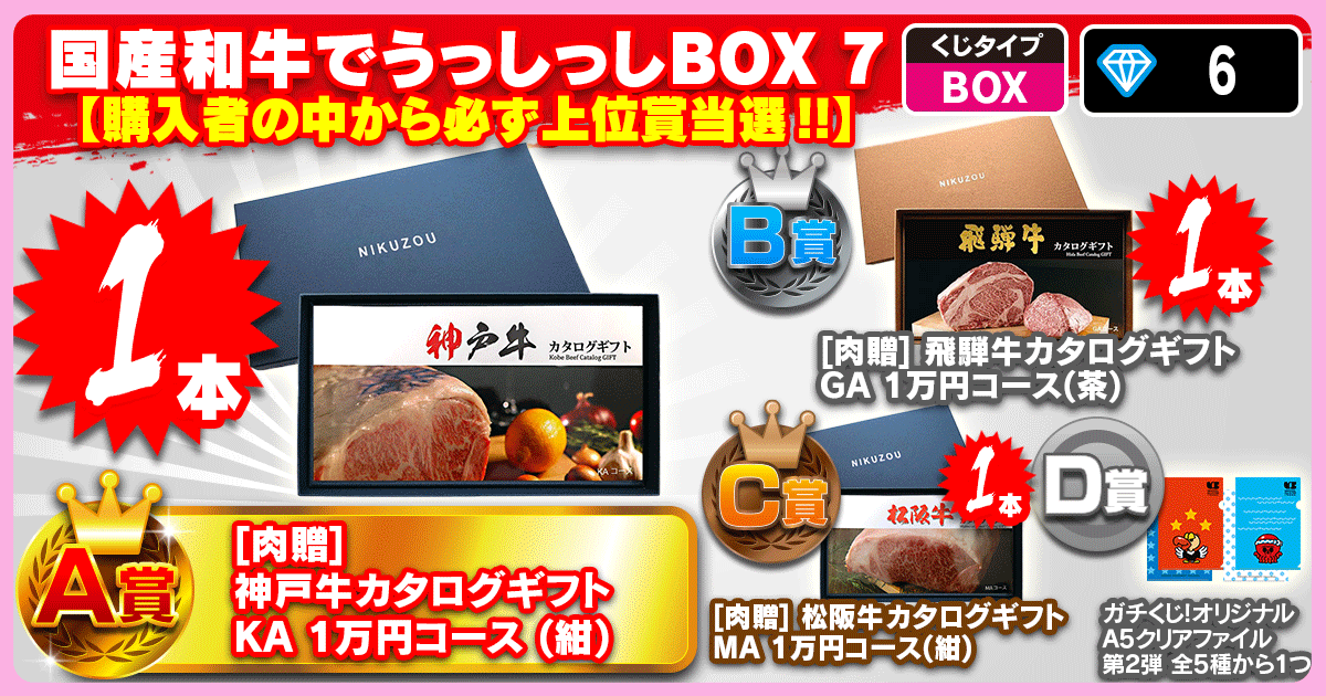 国産和牛でうっしっしBOX 7